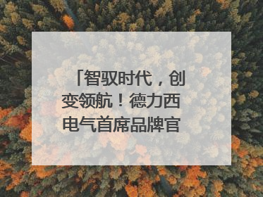 智驭时代，创变领航！德力西电气首席品牌官王策荣膺虎啸奖年度品牌人物