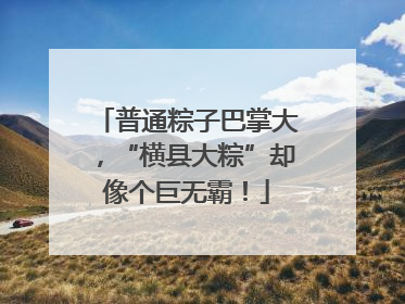 普通粽子巴掌大，“横县大粽”却像个巨无霸！