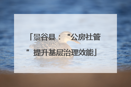 景谷县：“公房社管”提升基层治理效能