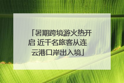暑期跨境游火热开启 近千名旅客从连云港口岸出入境