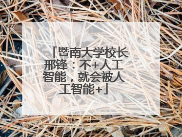 暨南大学校长邢锋：不+人工智能，就会被人工智能+