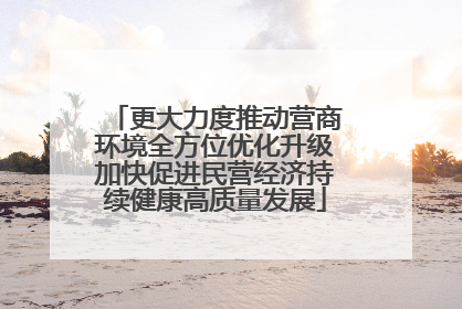 更大力度推动营商环境全方位优化升级加快促进民营经济持续健康高质量发展