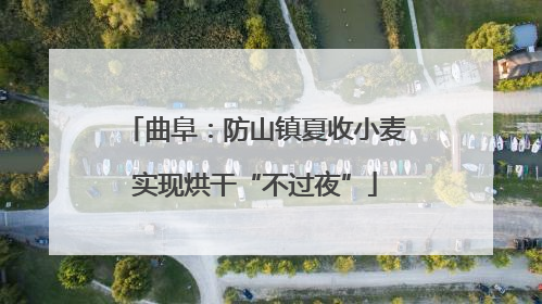 曲阜：防山镇夏收小麦实现烘干“不过夜”