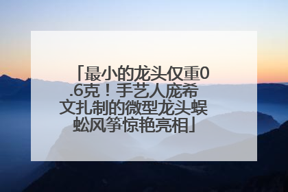 最小的龙头仅重0.6克！手艺人庞希文扎制的微型龙头蜈蚣风筝惊艳亮相