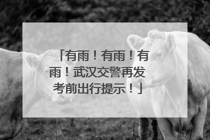 有雨！有雨！有雨！武汉交警再发考前出行提示！