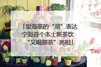 望海茶的“潮”表达 宁海首个本土新茶饮“又喝那茶”亮相