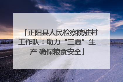 正阳县人民检察院驻村工作队：助力“三夏”生产 确保粮食安全