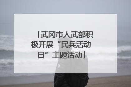 武冈市人武部积极开展“民兵活动日”主题活动