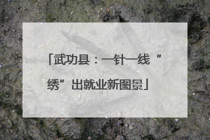 武功县：一针一线“绣”出就业新图景