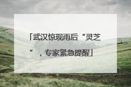 武汉惊现雨后“灵芝”，专家紧急提醒