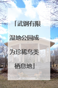 武钢有限湿地公园成为珍稀鸟类栖息地