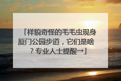 样貌奇怪的毛毛虫现身厦门公园步道，它们是啥？专业人士提醒→