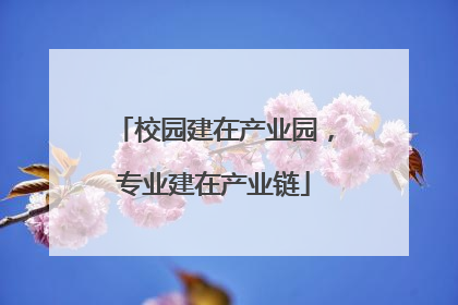 校园建在产业园，专业建在产业链