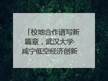 校地合作谱写新篇章，武汉大学·咸宁低空经济创新研究院签约成立