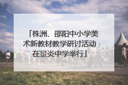 株洲、邵阳中小学美术新教材教学研讨活动在景炎中学举行