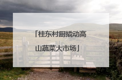 桂东村厨撬动高山蔬菜大市场
