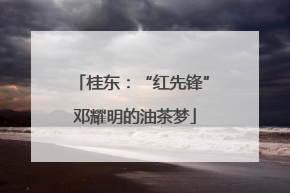 桂东：“红先锋”邓耀明的油茶梦