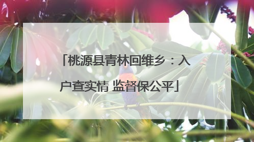 桃源县青林回维乡：入户查实情 监督保公平
