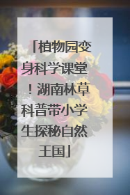 植物园变身科学课堂！湖南林草科普带小学生探秘自然王国
