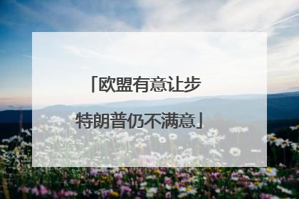 欧盟有意让步 特朗普仍不满意