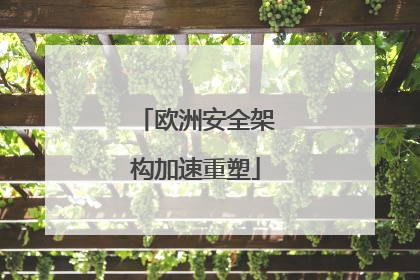 欧洲安全架构加速重塑