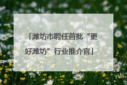 潍坊市聘任首批“更好潍坊”行业推介官