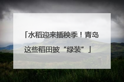 水稻迎来插秧季！青岛这些稻田披“绿装”