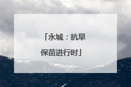 永城：抗旱保苗进行时