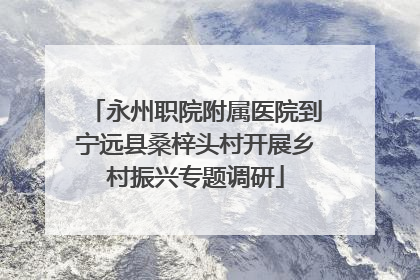 永州职院附属医院到宁远县桑梓头村开展乡村振兴专题调研