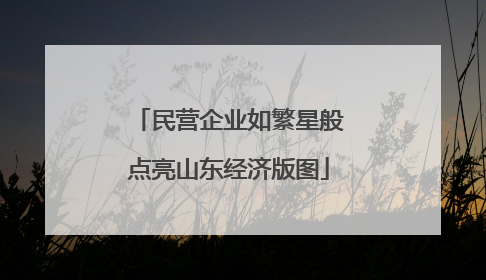 民营企业如繁星般点亮山东经济版图