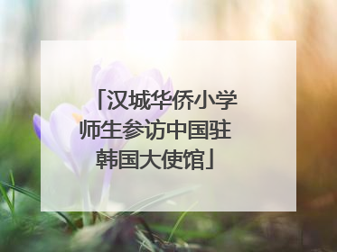汉城华侨小学师生参访中国驻韩国大使馆