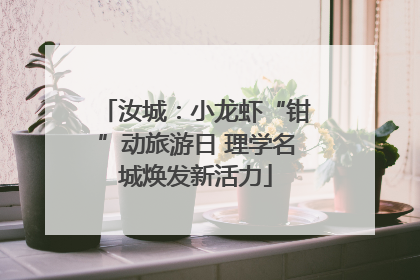 汝城：小龙虾“钳”动旅游日 理学名城焕发新活力