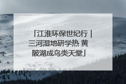 江淮环保世纪行｜三河湿地研学热 黄陂湖成鸟类天堂
