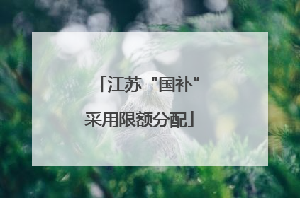 江苏“国补”采用限额分配