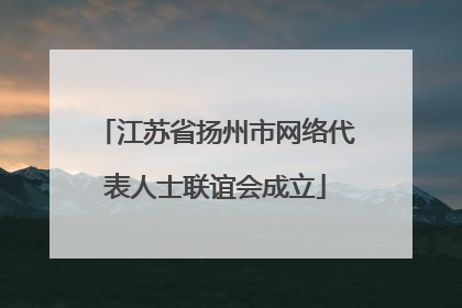 江苏省扬州市网络代表人士联谊会成立