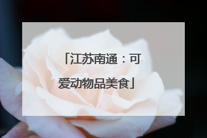 江苏南通：可爱动物品美食