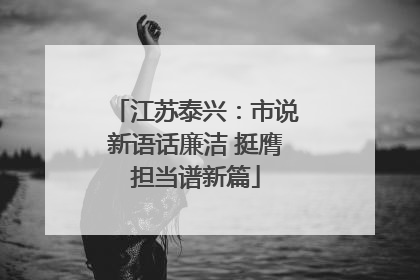 江苏泰兴：市说新语话廉洁 挺膺担当谱新篇