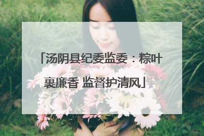 汤阴县纪委监委：粽叶裹廉香 监督护清风