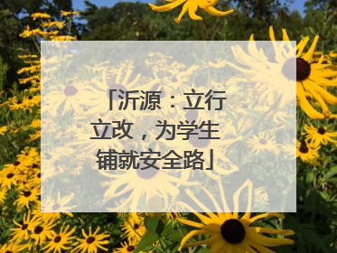 沂源：立行立改，为学生铺就安全路