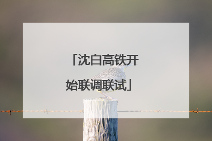 沈白高铁开始联调联试