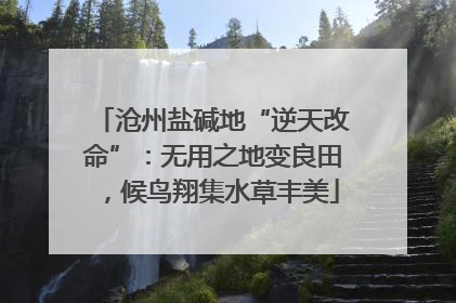 沧州盐碱地“逆天改命”：无用之地变良田，候鸟翔集水草丰美