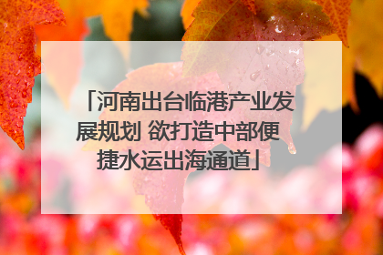 河南出台临港产业发展规划 欲打造中部便捷水运出海通道