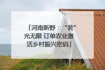 河南新野：“薯”光无限 订单农业激活乡村振兴密码