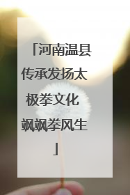 河南温县传承发扬太极拳文化 飒飒拳风生