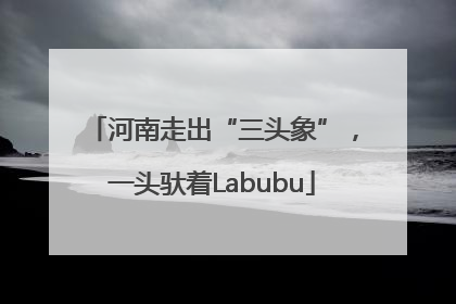 河南走出“三头象”，一头驮着Labubu