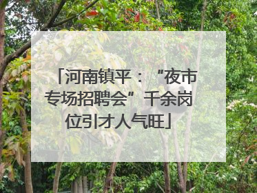 河南镇平：“夜市专场招聘会”千余岗位引才人气旺
