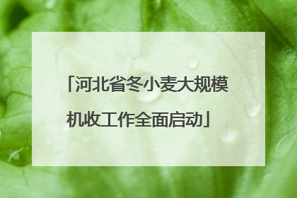 河北省冬小麦大规模机收工作全面启动