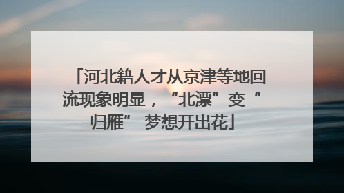 河北籍人才从京津等地回流现象明显，“北漂”变“归雁” 梦想开出花