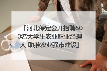 河北保定公开招聘500名大学生农业职业经理人 助推农业强市建设