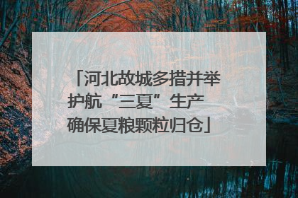 河北故城多措并举护航“三夏”生产 确保夏粮颗粒归仓